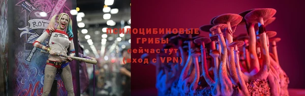 круглые Алексин